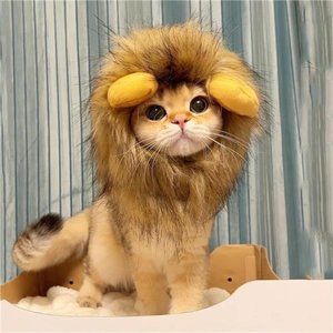 Pet Halloween Costume,Lion Hat for Kittens Puppy Dog Christmas Party Accessories